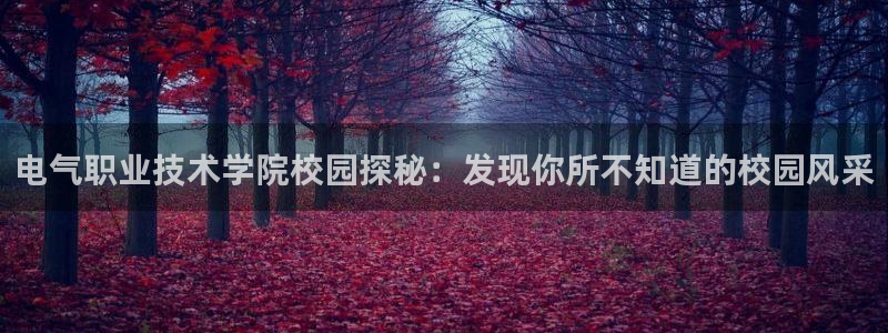 凯发旗舰厅网站