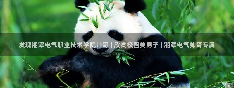 凯发官方:访问凯发.网站