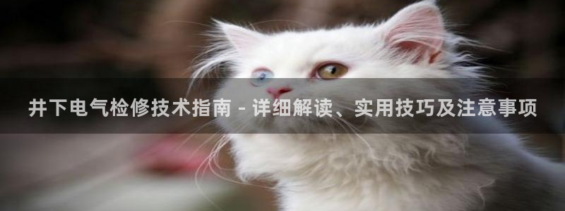 凯发网网站