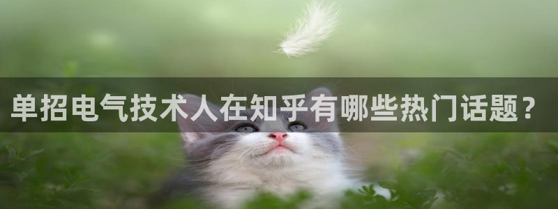 凯发k81111国际真人版