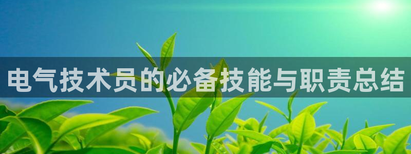 凯发k8国际真人版可靠送38元：电气技术员的必备技