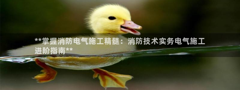 凯发平台轻7O777