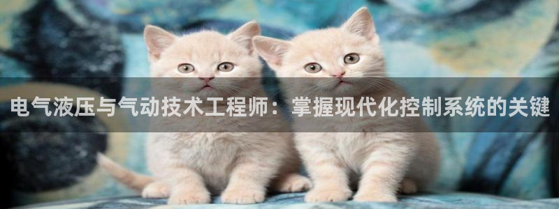 凯发网站是多少