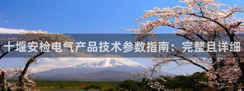 凯发官网入口首页