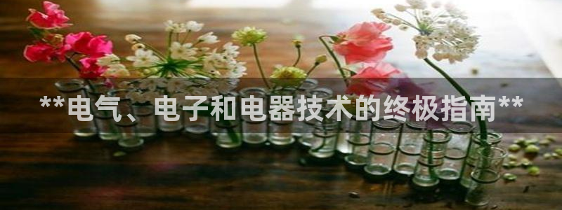凯发k8娱乐平台网址：**电气、电子和电器技术的终